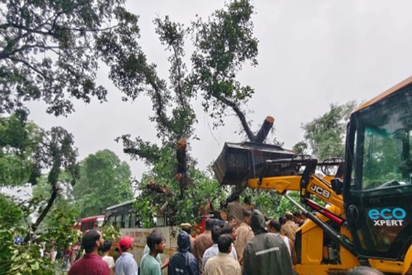 यूपी के बाराबंकी में भारी बारिश के कारण रोडवेज बस पर गिरा पेड़, चालक समेत 4 की मौत