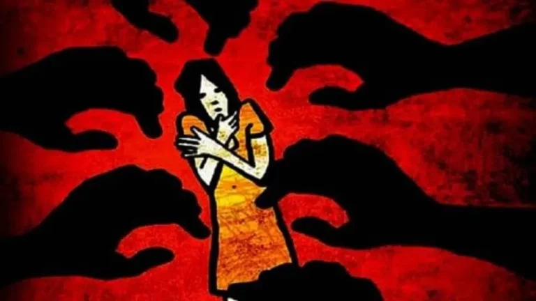सिर्फ कुछ सेकंड के लिए छोड़ा था अकेला….आयरलैंड में 6 साल की बच्ची पर नस्लीय हमला, मां ने सुनाई पूरी कहानी