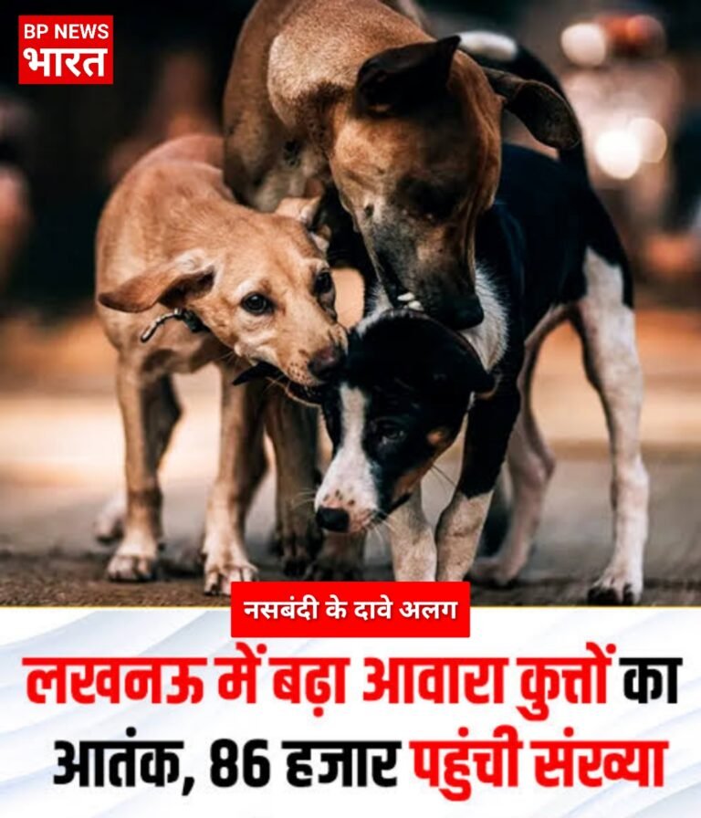 लखनऊ में आवारा कुत्तों की संख्या 86 हजार पार
